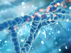 Learn more about Agilent’s NGS solutions. 