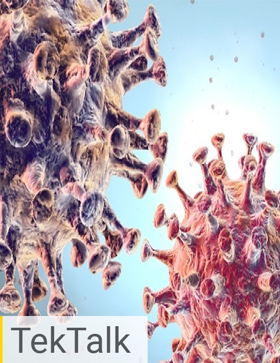 Viral Infectivity Assays