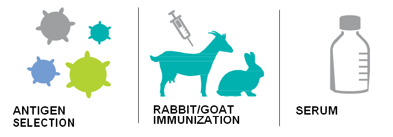 Contract Immunization