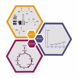 VistaFlux Software VistaFlux Software