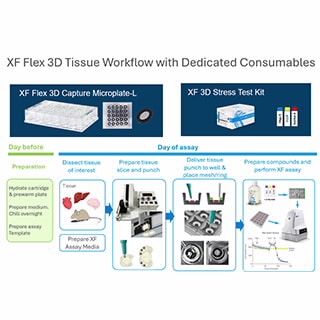 Seahorse XF Flex Analyzer
