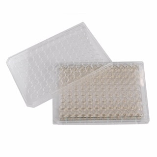 xCELLigence RTCA MP - Multiple Plates