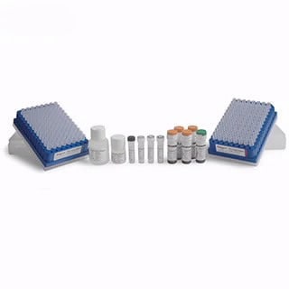 GlykoPrep Technology GlykoPrep Technology