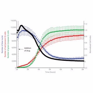 RTCA eSight Software